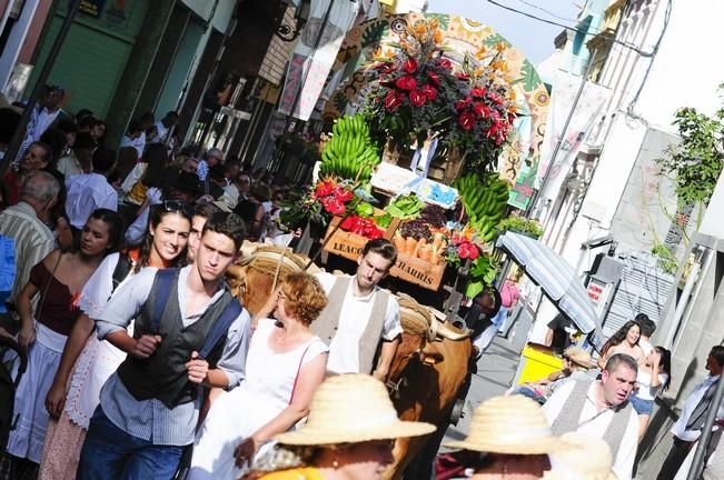 Romería de Santiago de Gáldar 2016.