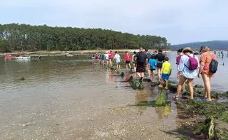 Llegar andando a una isla se hace posible en Carril