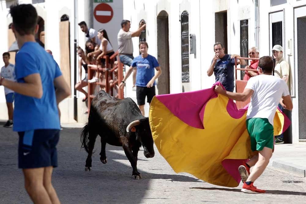 Encierros de Villanueva del Duque