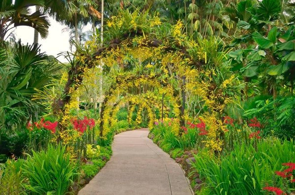 Jardín botánico de Singapur (Singapur)