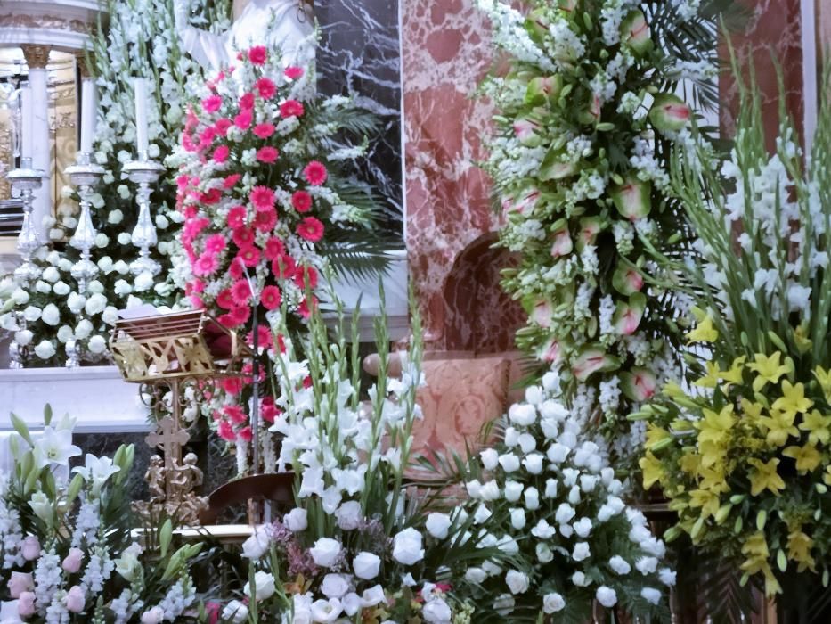 Los floristas decoran la Basílica de la Virgen de los Desamparados