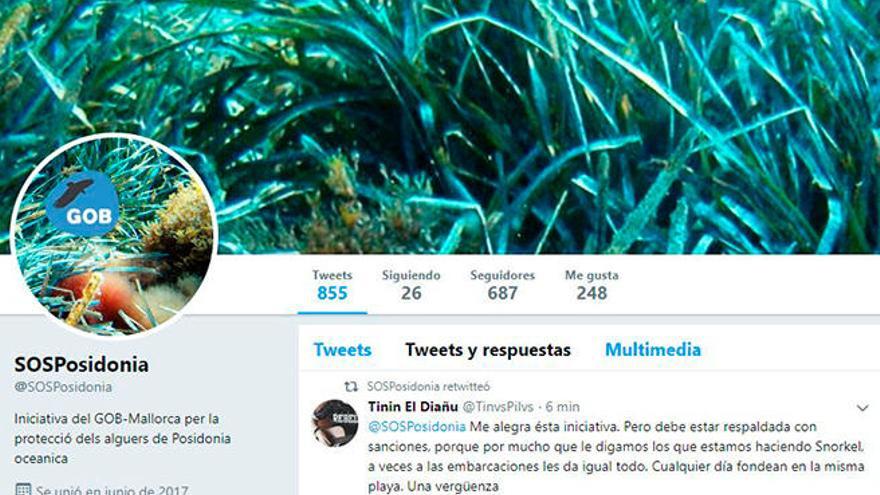 El GOB abre una cuenta en twitter para denunciar fondeos sobre la posidonia