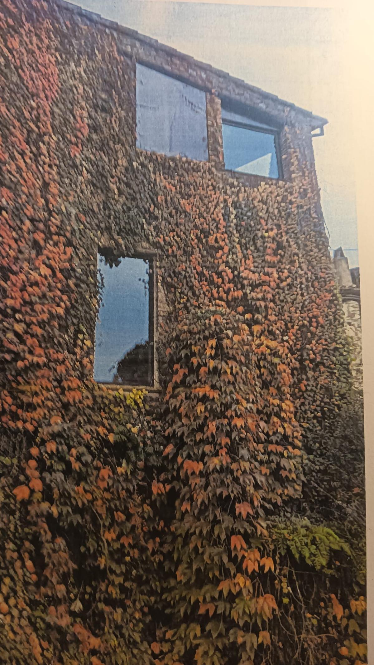 Fotografia d’una façana del nucli antic, coberta de vegetació i amb obertures visibles, inclosa pels veïns en les queixes sobre intervencions que consideren irregulars.