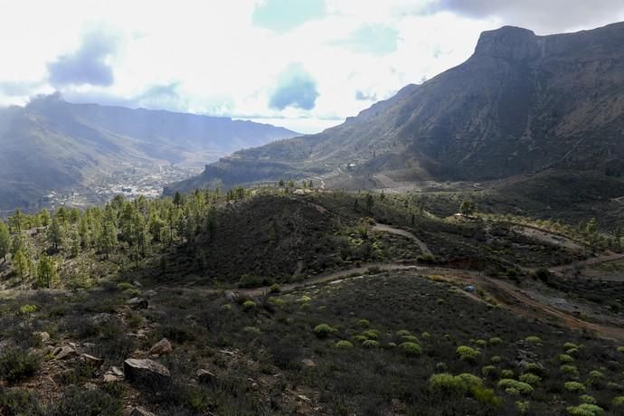 GRAN CANARIA 26-01-2019  SANTA LUCIA DE TIRAJANA-SAN BARTOLOME DE TIRAJANA. Fotos al macizo de Amurga. Fotos a los terrenos de la familia de Román comprados por el Cabildo.  FOTOS: JUAN CASTRO