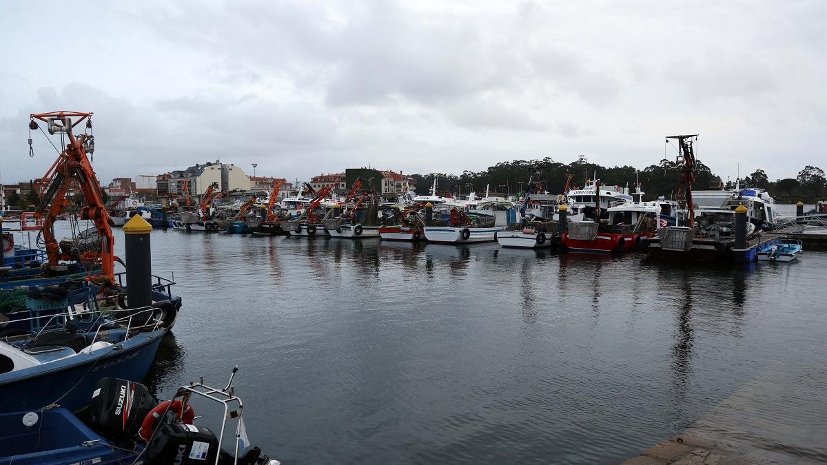 Bateeiros amarrados en el puerto de Vilanova de Arousa, este martes