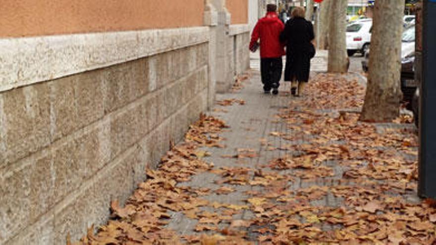 Otoño: la rutina regresa tras el descanso veraniego