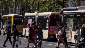 "El autobús 54, un salto al vacío en una parada mal diseñada"