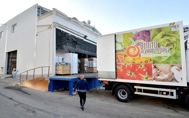 BENITO ALVAREZ PROVEEDOR CANARIO FRUTAS VERDURAS