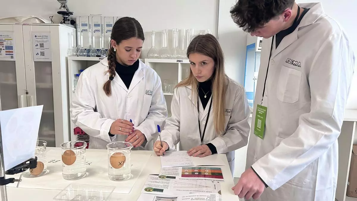 Primeras olimpiadas de nutrición en Mallorca: estos son los platos saludables que se han llevado los premios