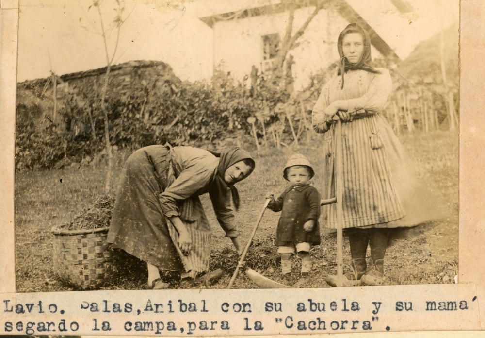 Adquisición del Muséu del Pueblu d''Asturies