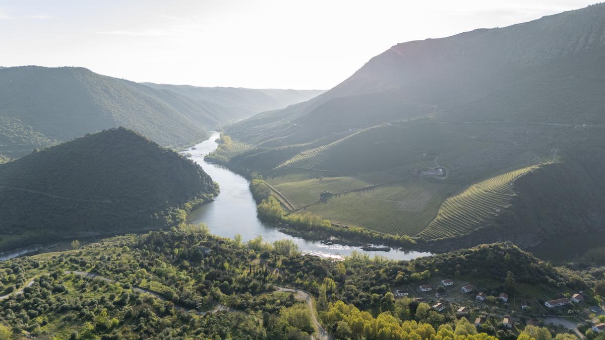 El río Duero, que fluye por el valle de Saucelle con viñedos