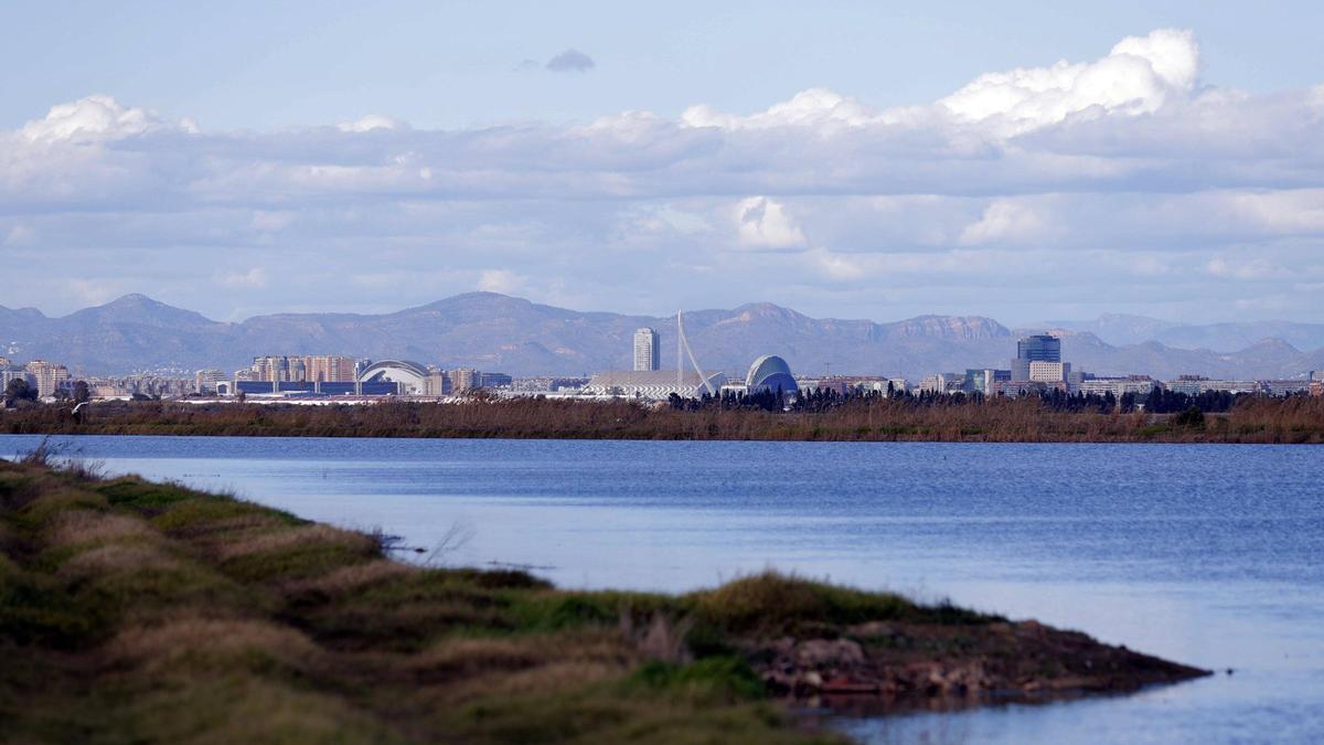 Vista de València desde los arrozales dentro del Parc Natural de l'Albufera