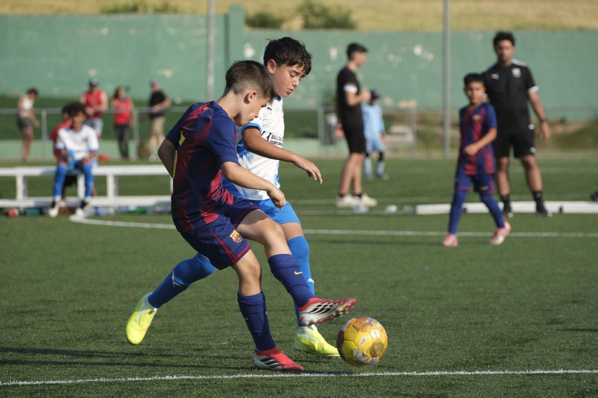 Imatges de la TEA Football Cup 2026 de Sant Fruitós
