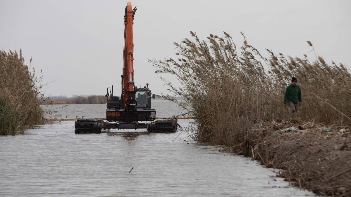 Trabajos para quitar la basura arrastrada por la dana en l'Albufera