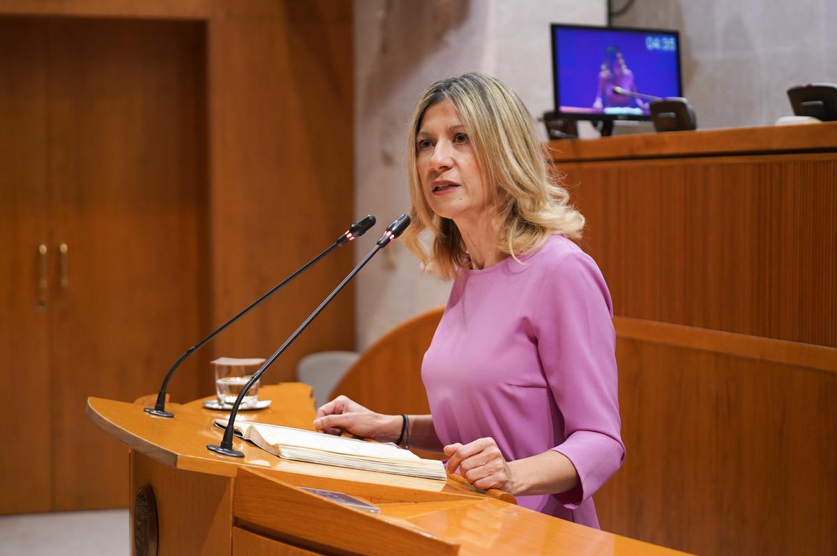 Mar Vaquero, portavoz del Partido Popular en las Cortes.