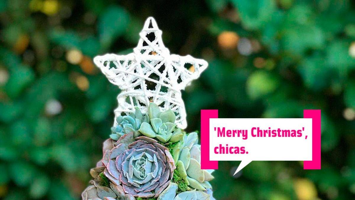 Supertendencia en decoración: arbolito de Navidad hecho con plantas de hoja carnosa