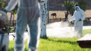 El virus del Nil suma a Sevilla una vuitena víctima mortal
