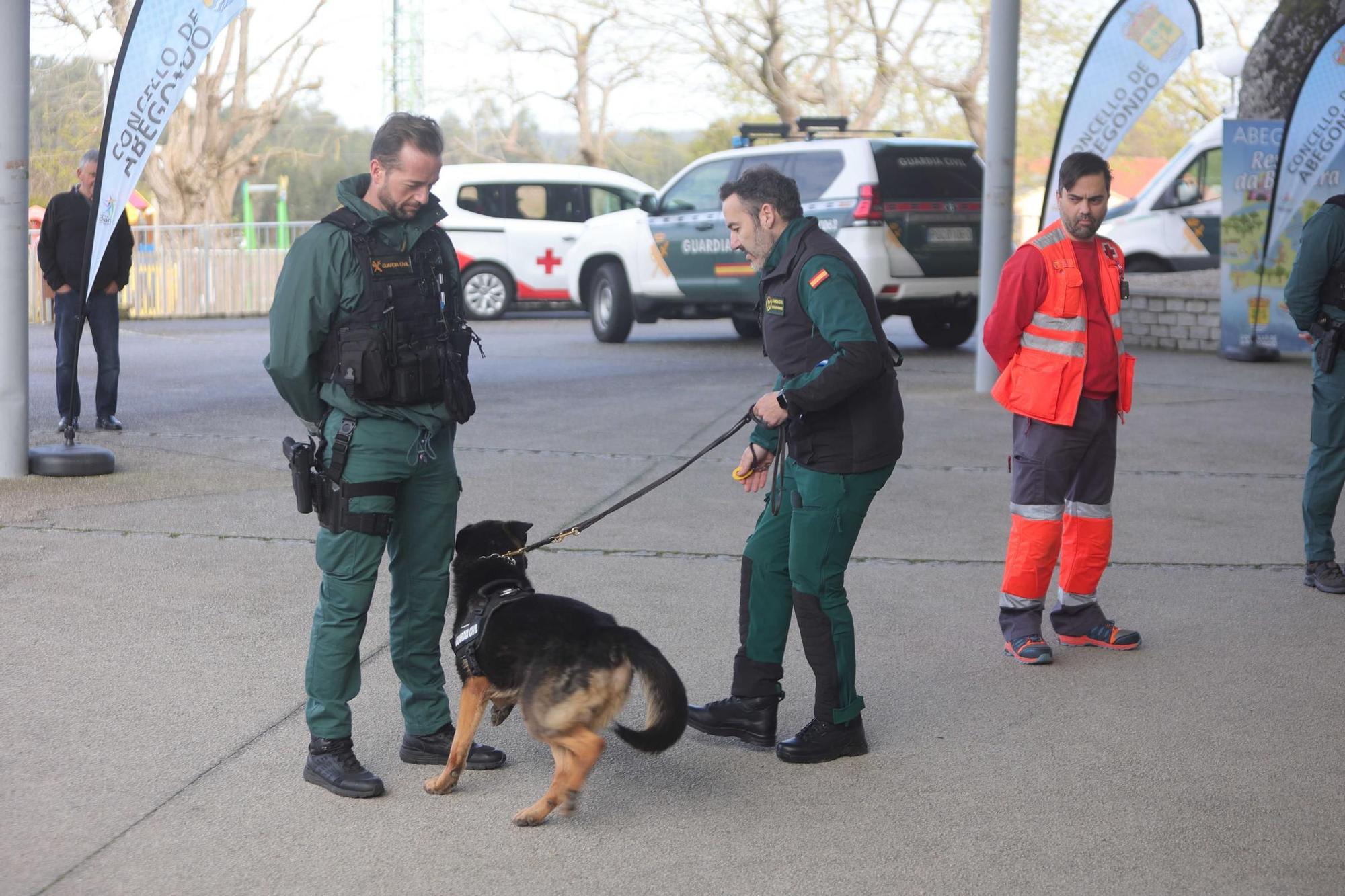 Exhibición de la Guardia Civil en Abegondo