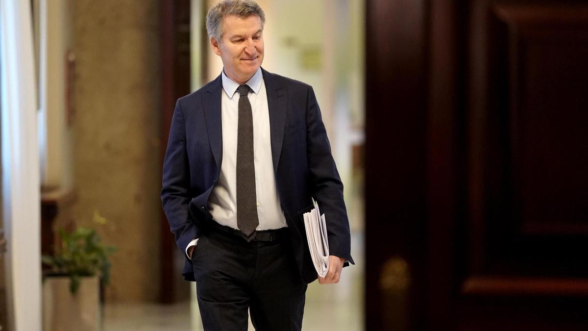 Entrada de Alberto Núñez Feijóo al Congreso de los Diputados, antes de declarar ante la jueza de la DANA