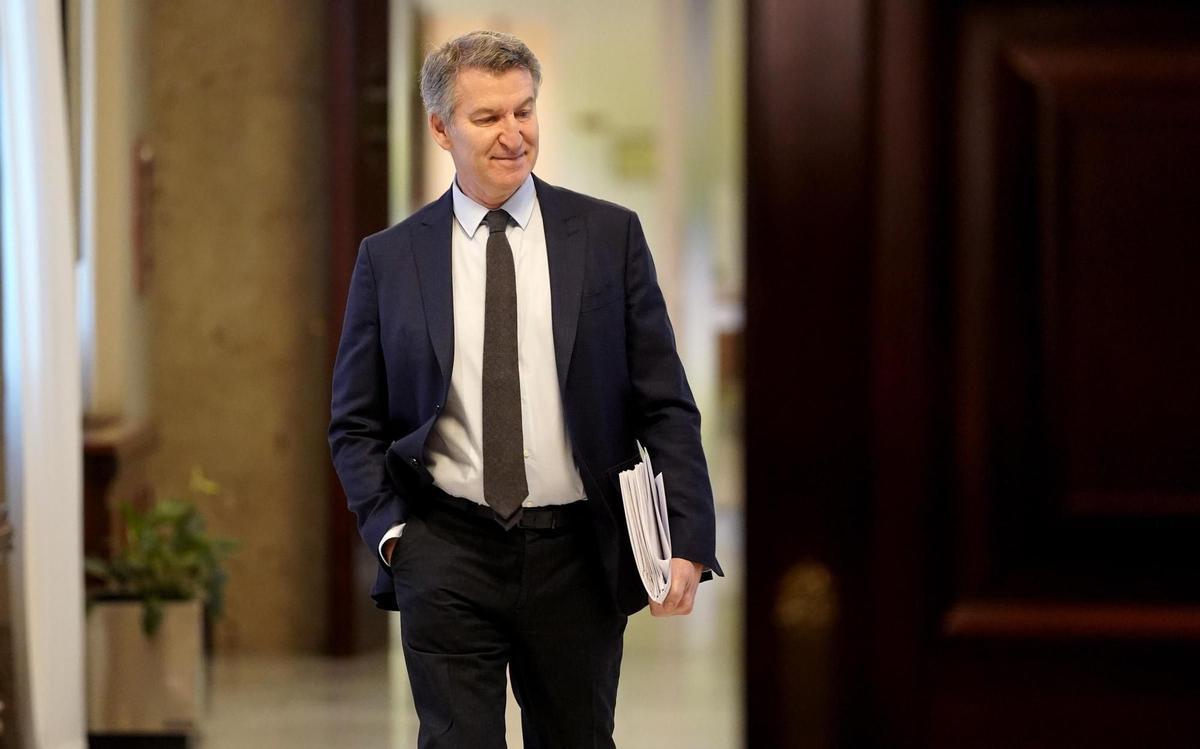 Entrada de Alberto Núñez Feijóo al Congreso de los Diputados, antes de declarar ante la jueza de la DANA