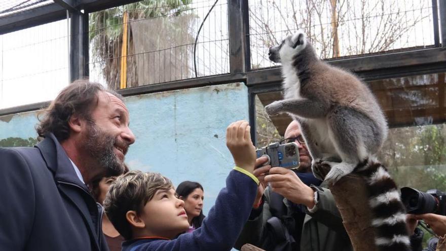 El Zoo prepara actividades para niños con necesidades
