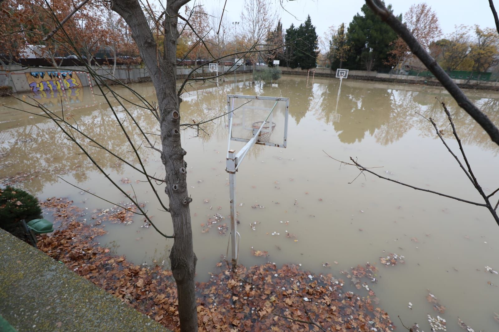 Los efectos que deja la crecida del Ebro en Zaragoza