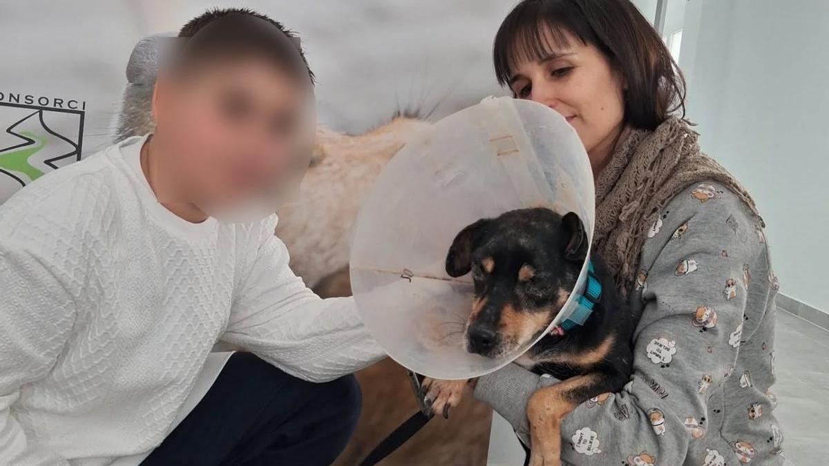 La nueva familia de Leónidas.