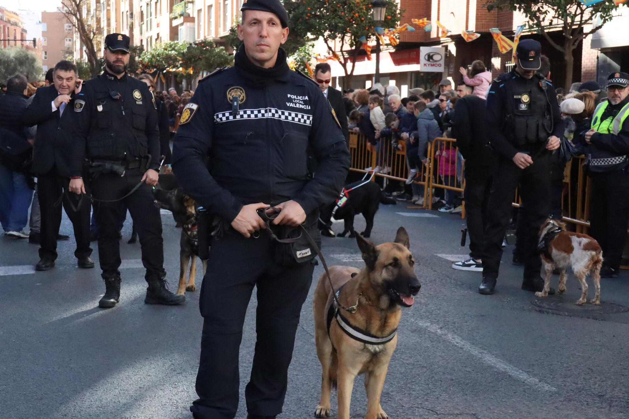 Perros policía y animales de granja completan el desfile de Sant Antoni en València