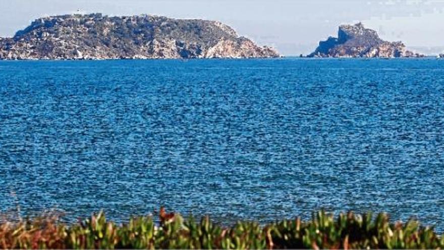 Temperatura rècord de l&#039;aigua del mar