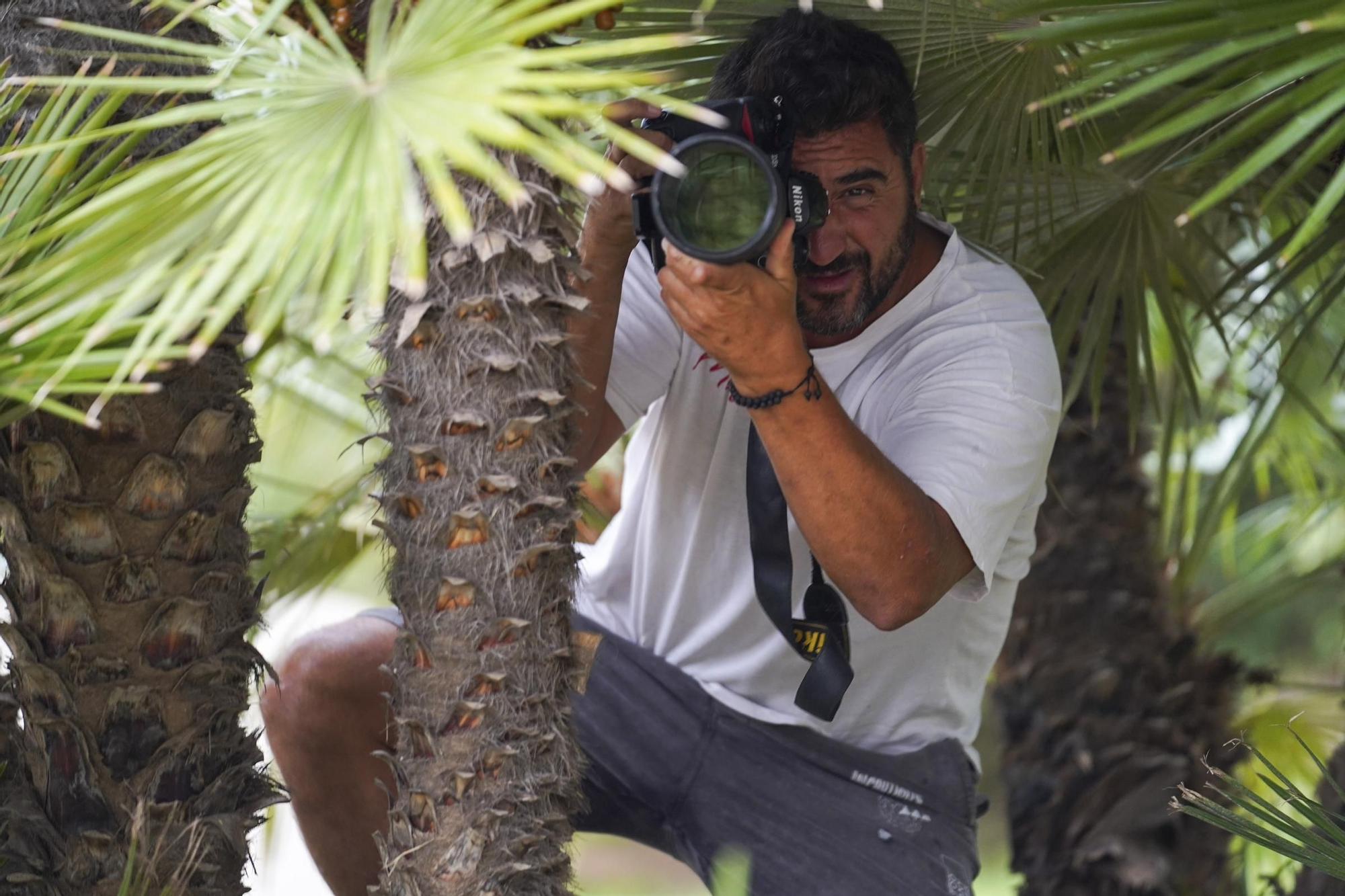 Mira aquí los personajes del verano pillados por Sergio Garrido