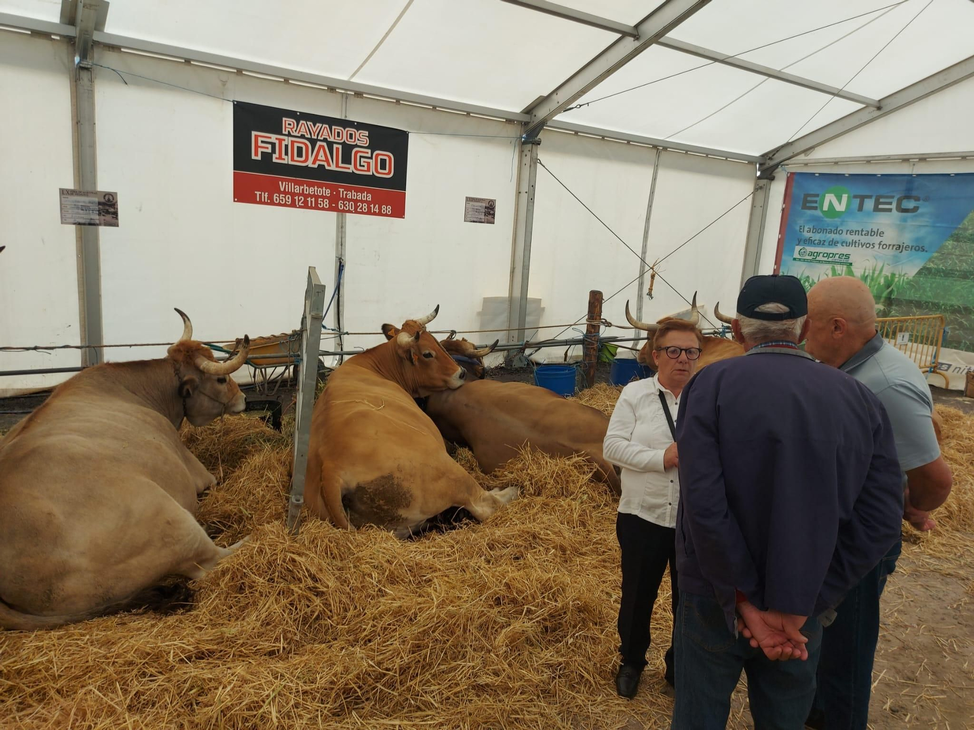 El público llenó la Feria de Vegadeo durante el fin de semana
