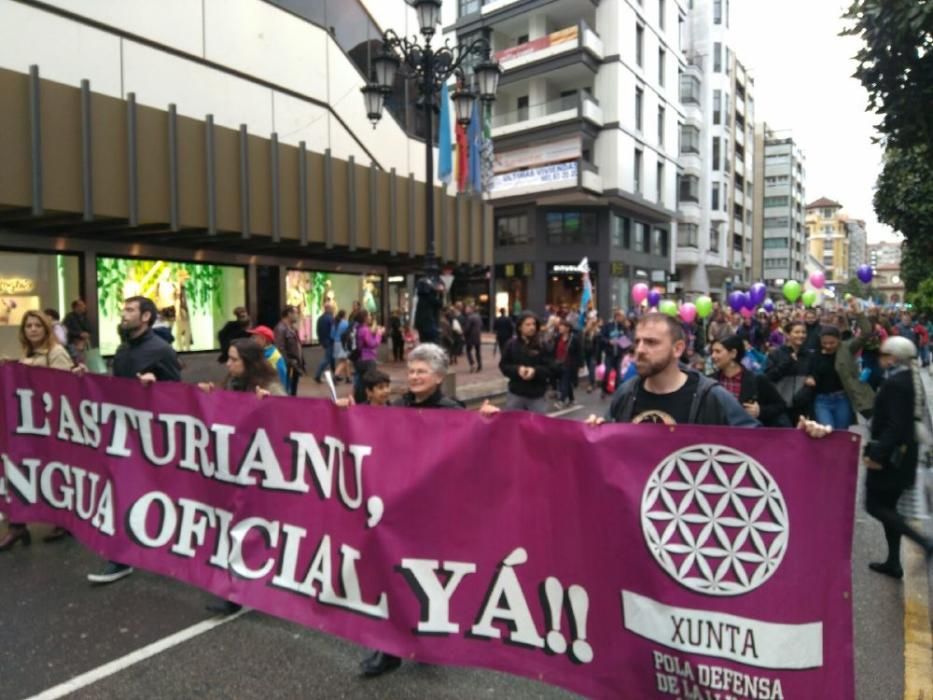 Manifestación por la oficialidad del Asturianu