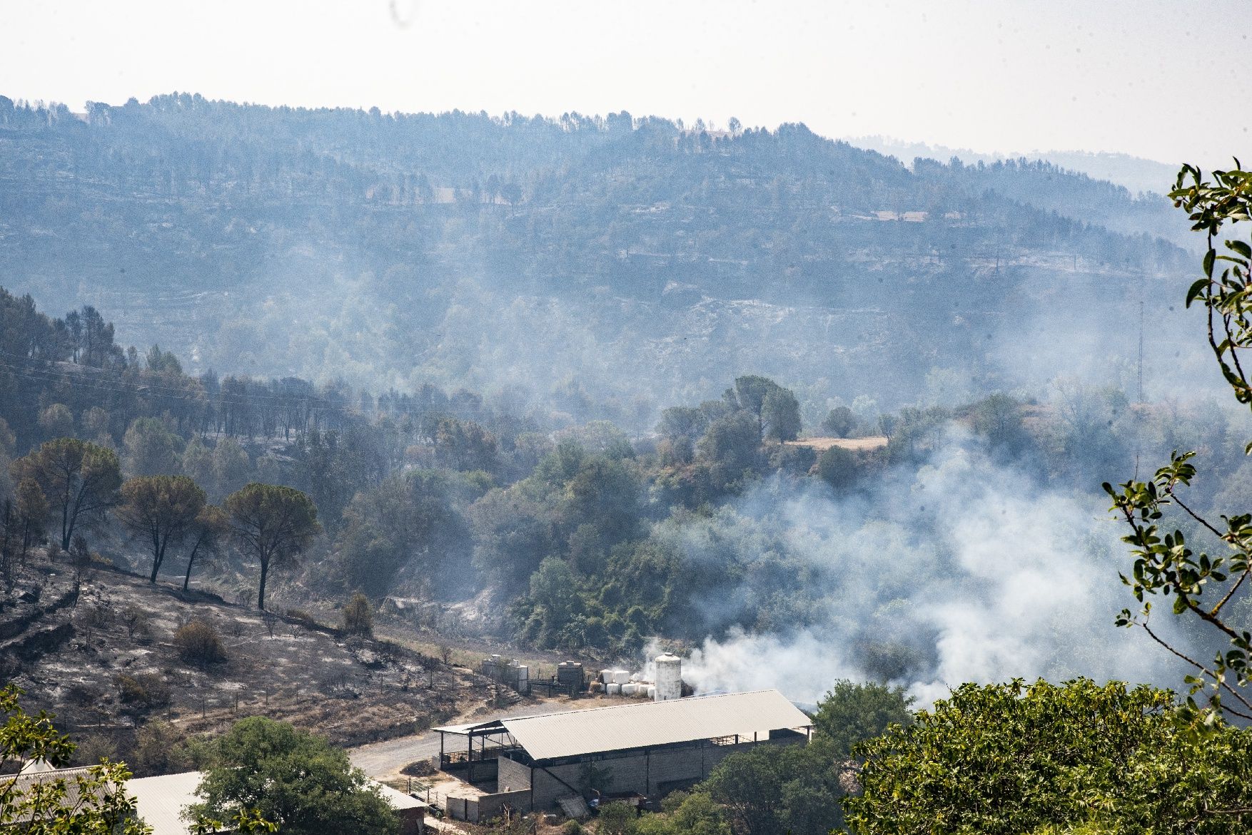 Afectació per l'incendi a la urbanització de les Brucardes