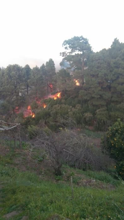 Incendio forestal en Garafía (La Palma)