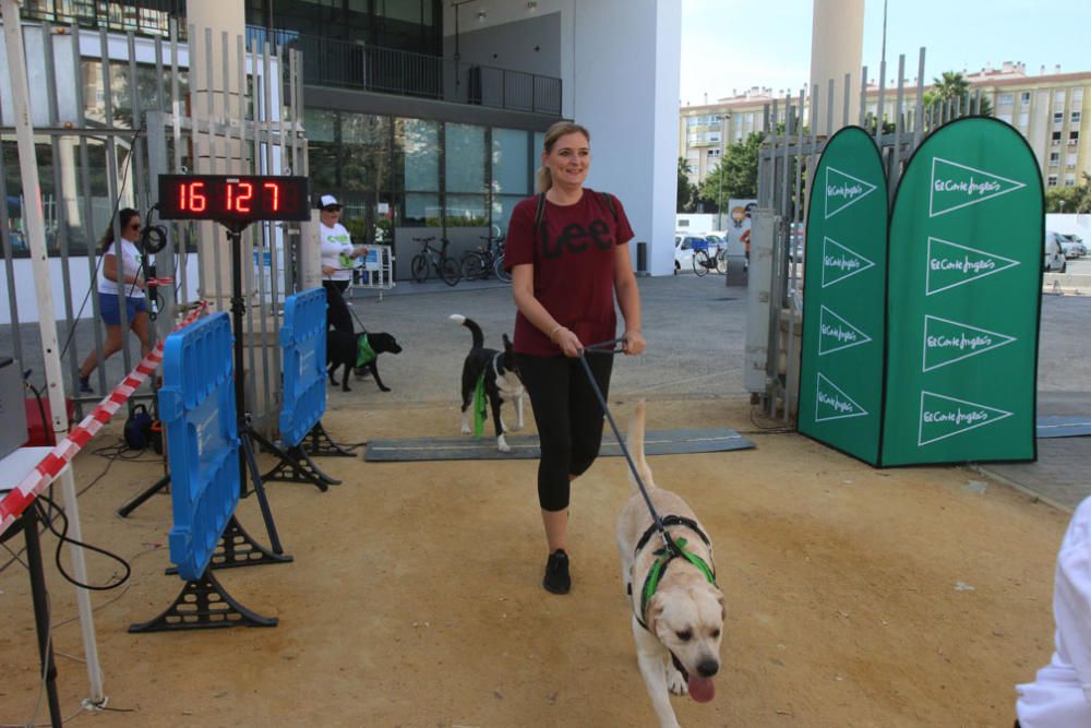 El Parque Huelin ha acogido la primera edición de un evento destinado a las mascotas y a sus dueños, con carreras en diversas categorías, actividades gratuitas y numerosos stands