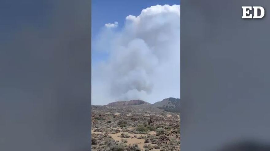 Columna de humo del incendio de Los Realejos, vista desde El Portillo Alto