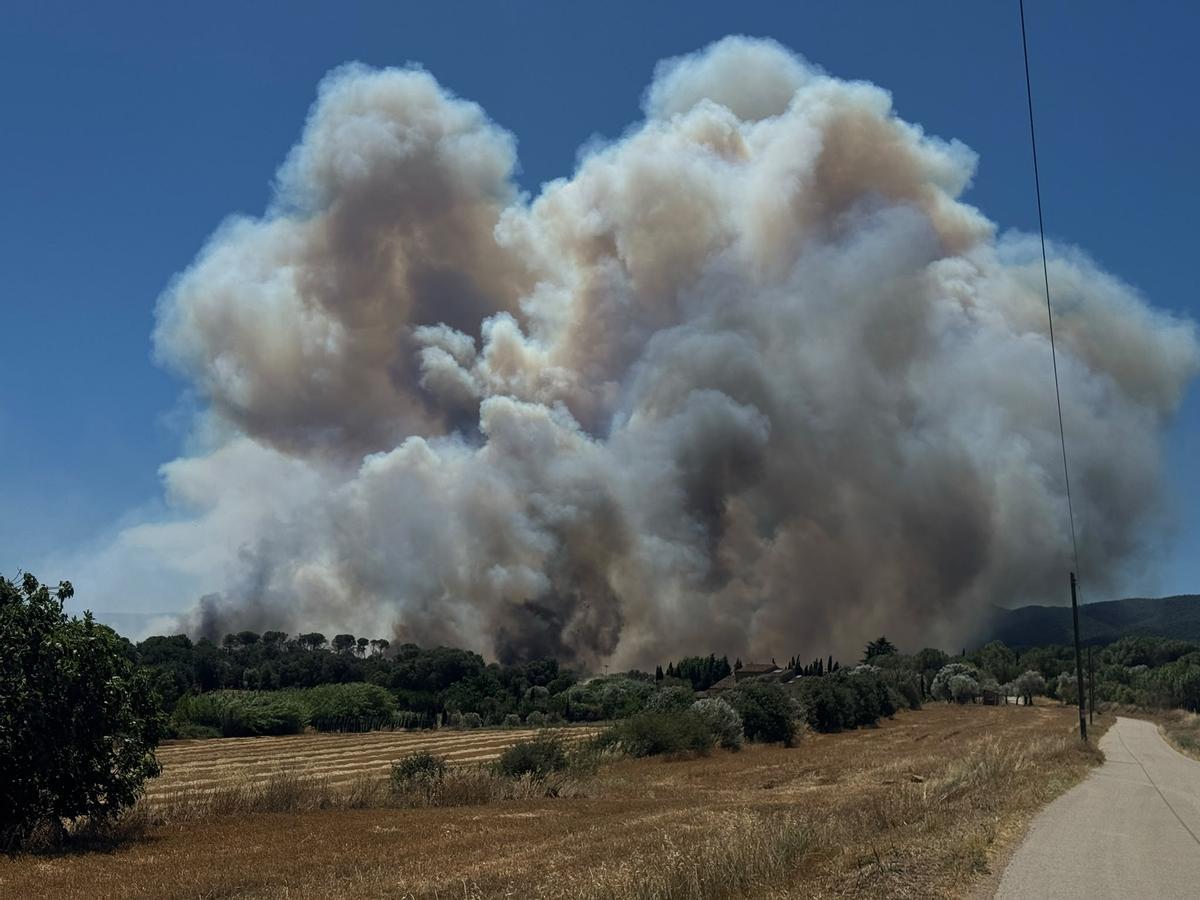 Crema sense control un incendi forestal a peu de les Gavarres a la Bisbal Crema sense control un incendi forestal a peu de les Gavarres a la Bisbal