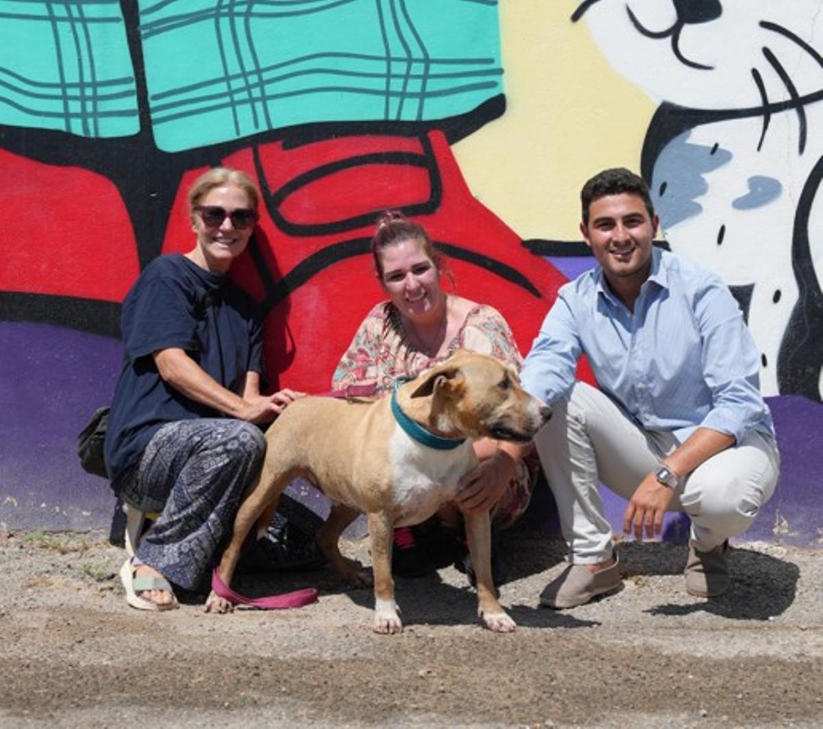 De una jaula en Ibiza a un hogar en Holanda: la segunda oportunidad de Pumba