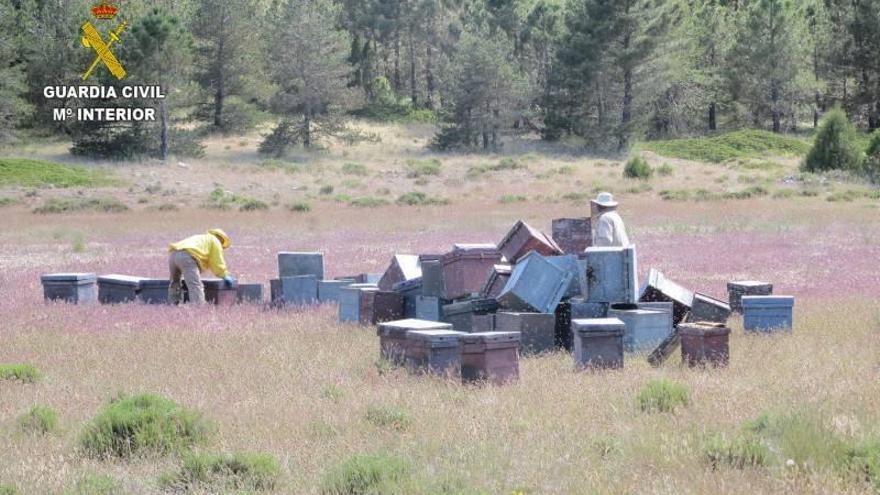 Recuperan  en el toro 50 colmenas robadas en Teruel