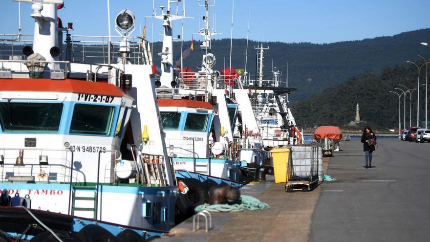 El Puerto da luz verde a la planta de Opromar para tratar 2.850 toneladas al año de descartes de pesca
