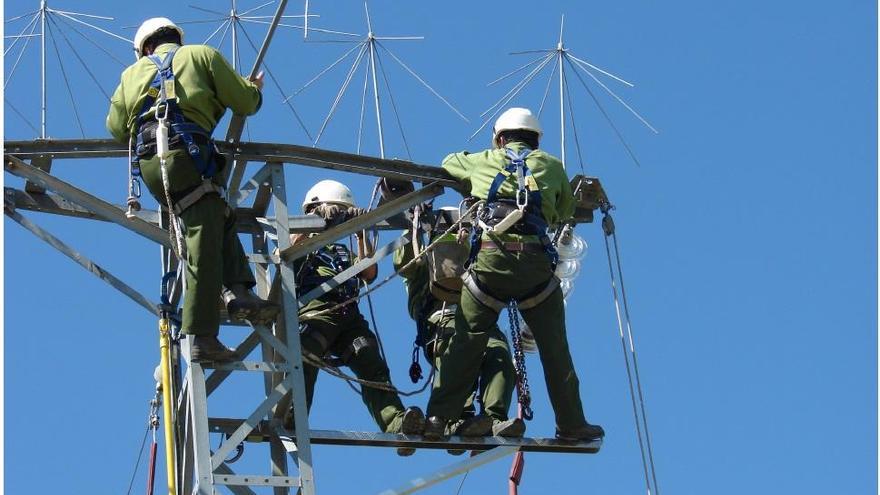 Iberdrola realiza más de 1.400 acciones de protección de la biodiversidad desde 2018