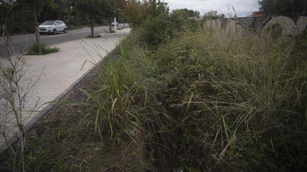Acequia 'invisible' en la avenida Ingeniero Andoni Sarasola.