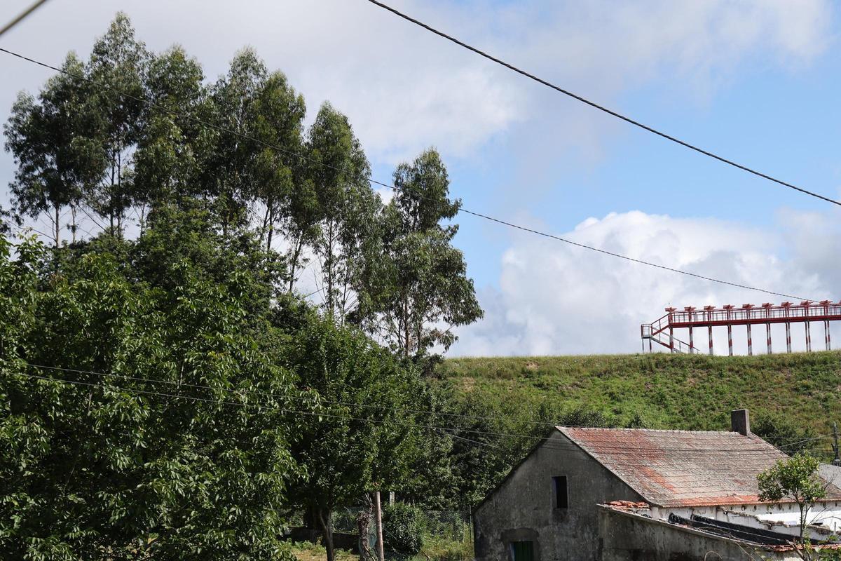 El árbol que ha obligado a degradar el sistema antiniebla de Peinador se ubica en la cabecera de Mos.