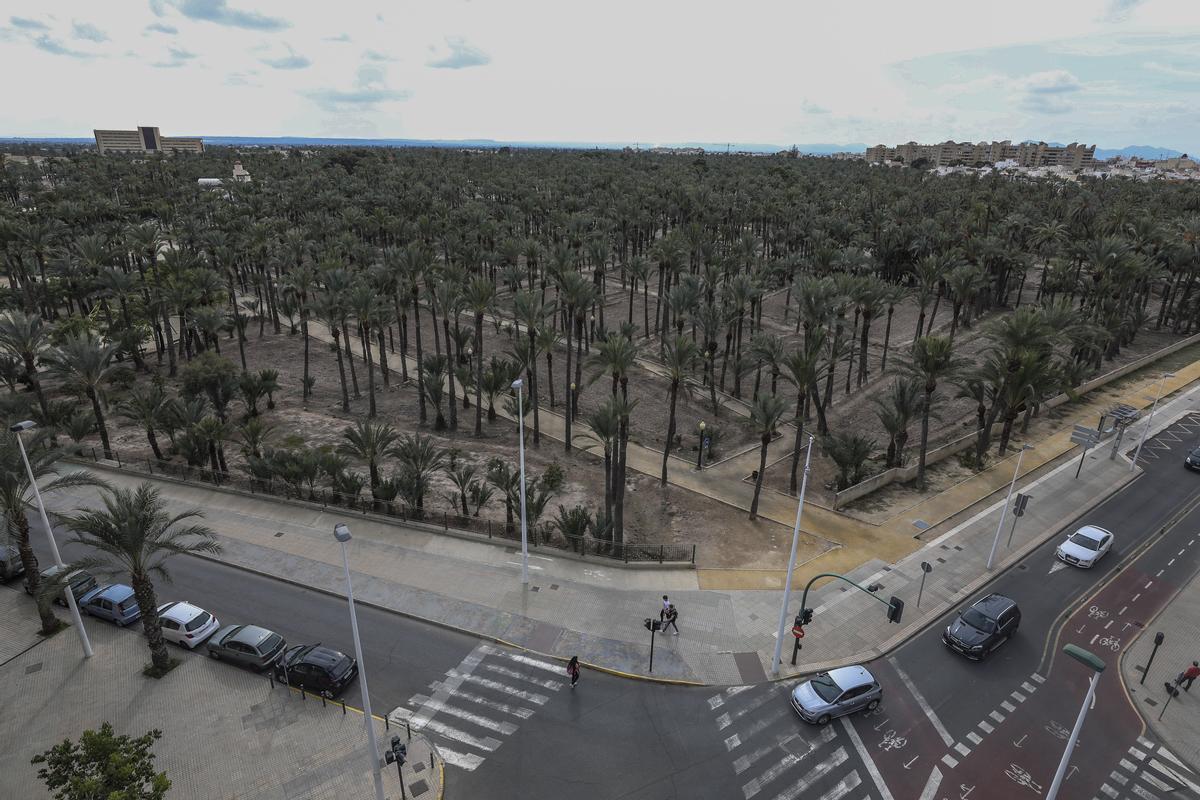 Vistas del Palmeral de Elche