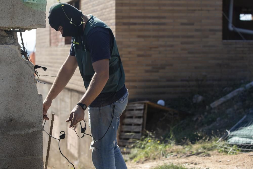 Dos detinguts i 1.500 plantes de marihuana descobertes en més escorcolls contra el clan de la Selva i el Gironès