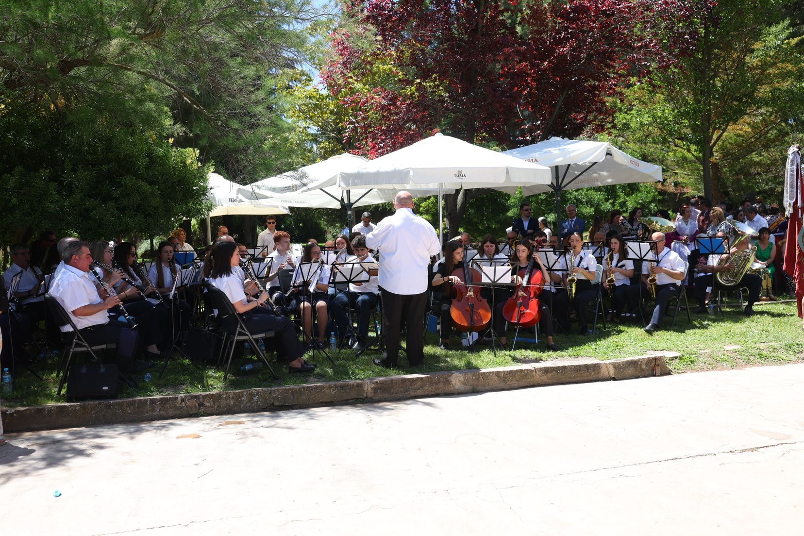 Fiesta de las Juntas Locales en Utiel