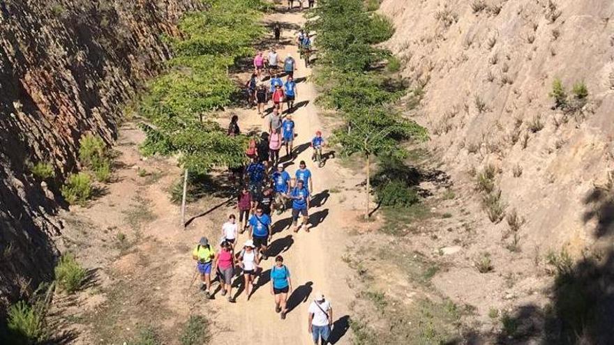 Cientos de personas recuerdan que la lucha por el tren del Llevant continúa