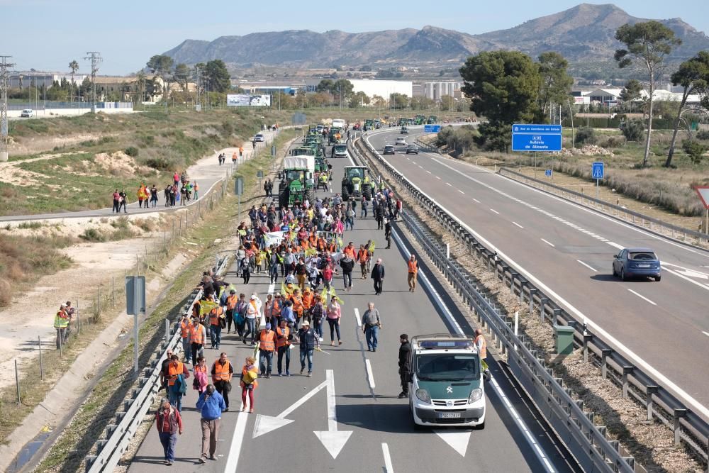 Tractorada en defensa del campo alicantino