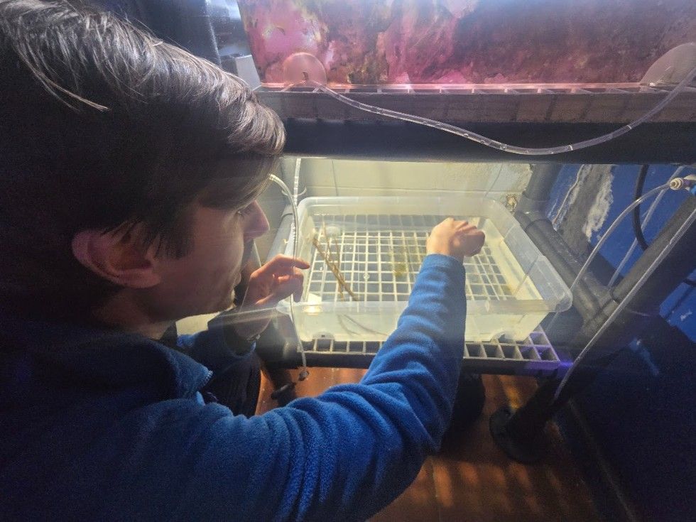 Las instalaciones del Acuario O Grove, en Punta Moreiras.