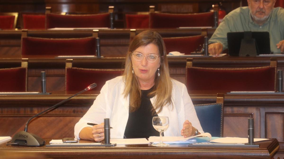 La consellera Gómez, en una sesión del Parlament.